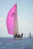 jaywalker gbr97l ss13 fri 0038